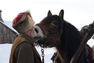 53542062545 979b36b0a7 b