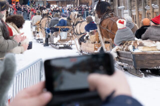 54336609192 309f4bf5ea b