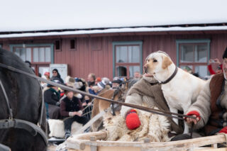 54337729084 e7f00399ba b