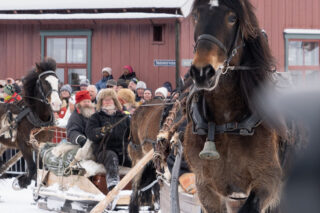 54337740778 02cba8d630 b