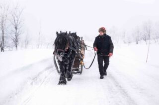 LUCID rorosmartnan 06 less