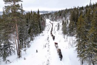 LUCID rorosmartnan 01