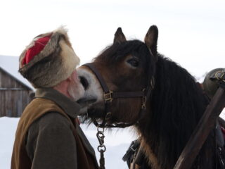 53542062545 979b36b0a7 b