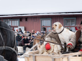 54337729084 e7f00399ba b