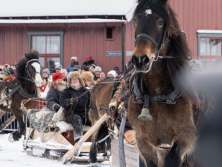 54337740778 02cba8d630 b