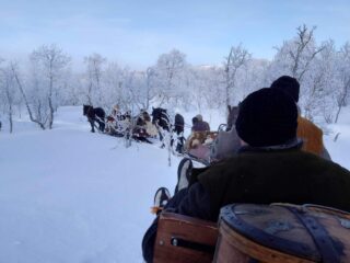 Foto 2024 02 19 23 05 19 11