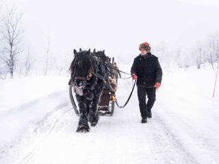 LUCID rorosmartnan 06 less