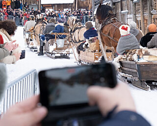 54336609192 309f4bf5ea b