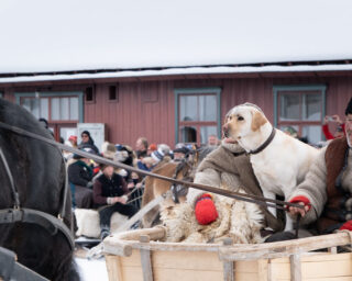 54337729084 e7f00399ba b