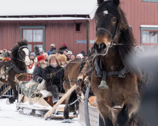 54337740778 02cba8d630 b