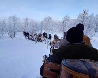 Foto 2024 02 19 23 05 19 11