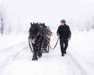 LUCID rorosmartnan 06 less