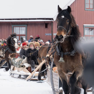 54337740778 02cba8d630 b