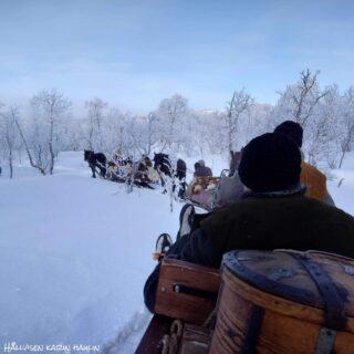 Foto 2024 02 19 23 05 19 11