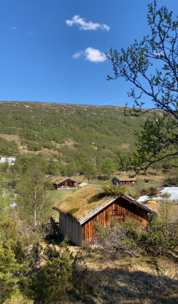 Synnerdalen 1