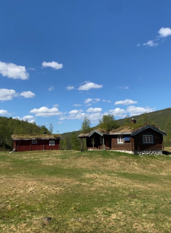 Synnerdalen 2