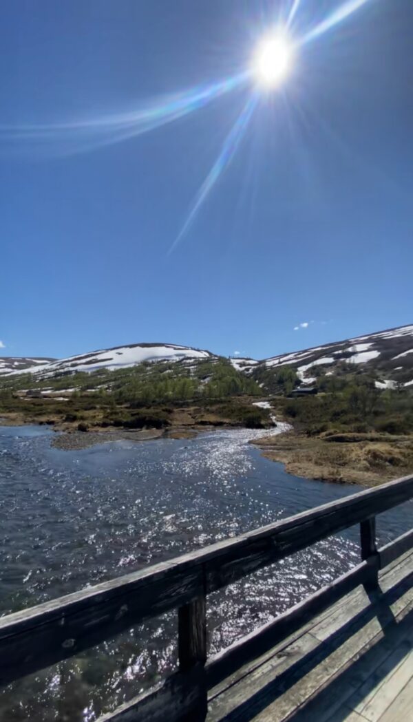 Synnerdalen 3