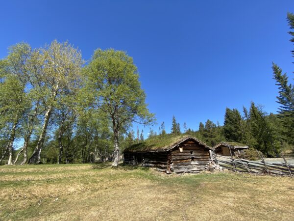 Storbekkøya museumsseter 3